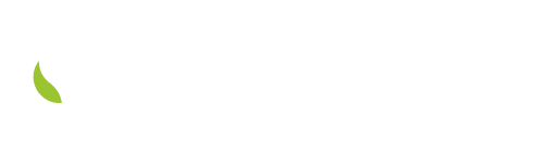 Логотип СПб ФИЦ РАН